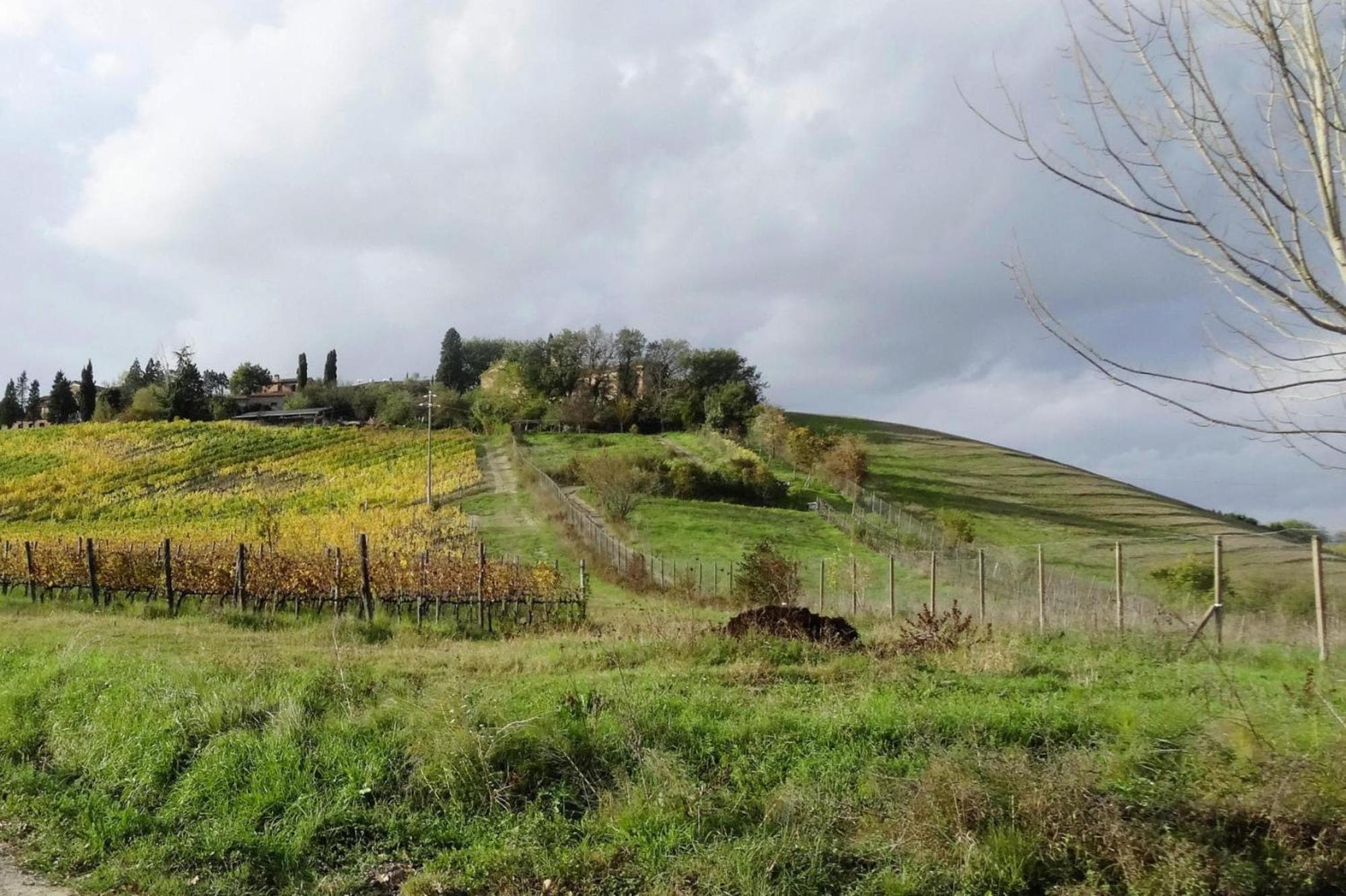 Апартаменти Fattoria Bio Pieve A Salti Монтальчино Екстер'єр фото