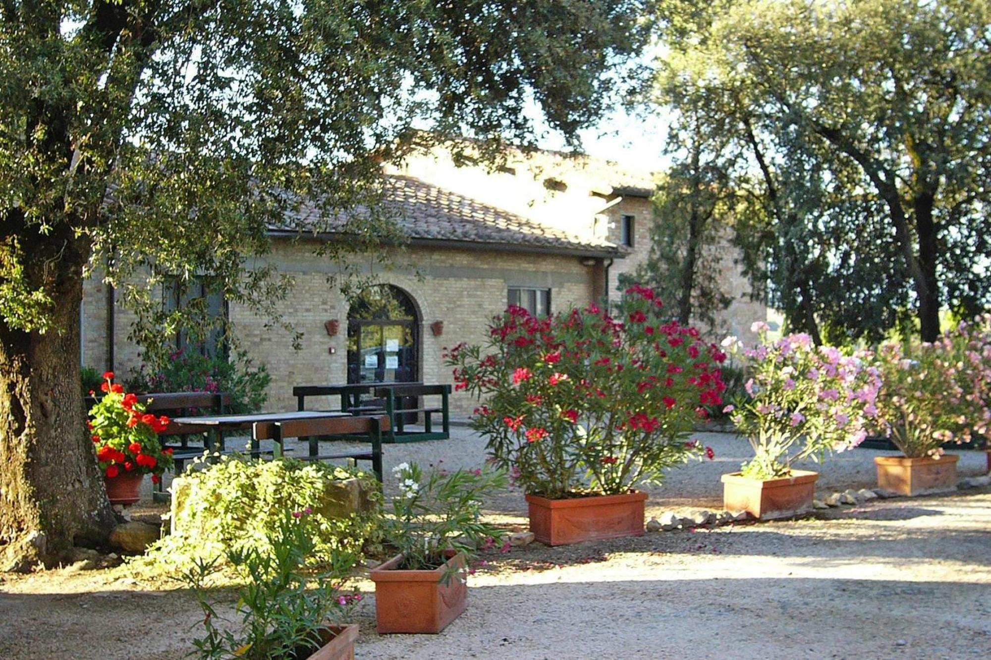 Апартаменти Fattoria Bio Pieve A Salti Монтальчино Екстер'єр фото